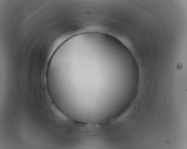 X0000092330912200709281424