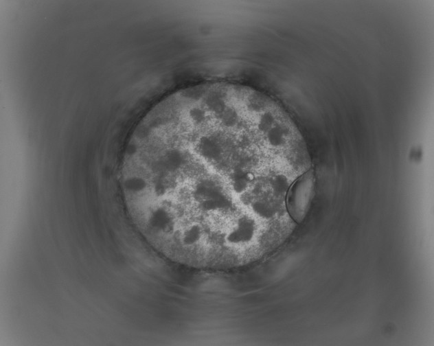 X0000092330913200709281423