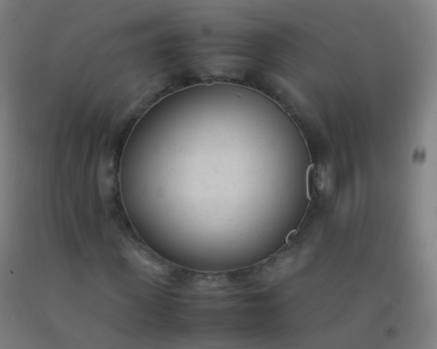 X0000092330915200709281423