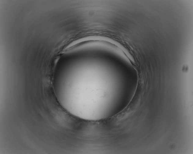 X0000092330916200709281423