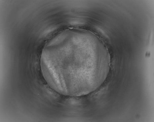 X0000092330917200709281423