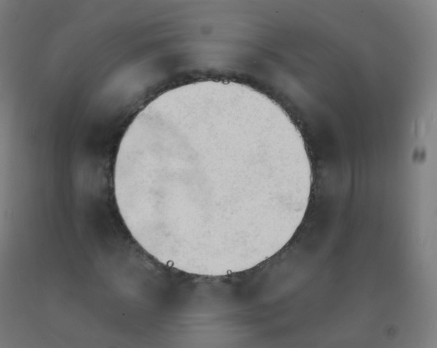 X0000092330918200709281423