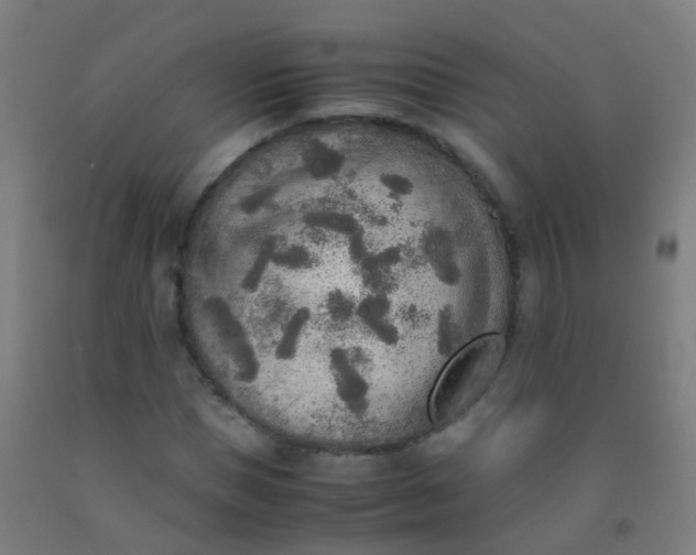 X0000092330921200709281423