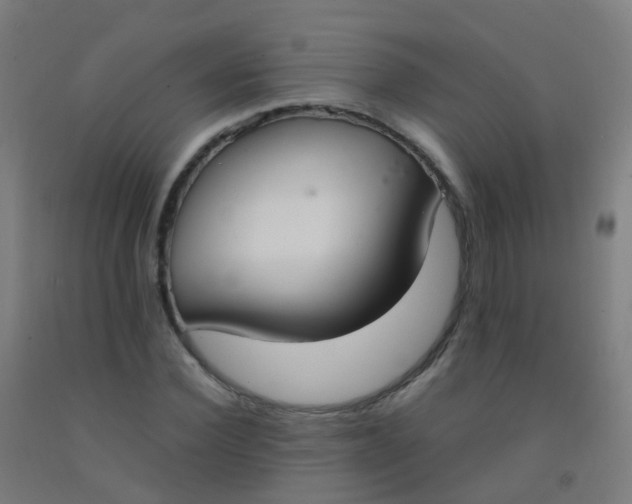 X0000092330924200709281423