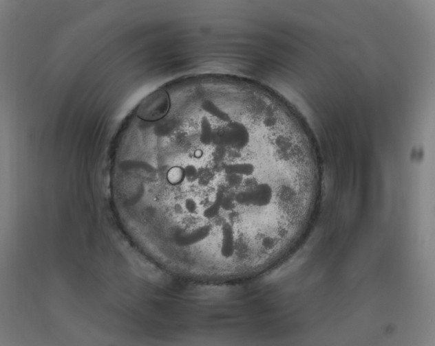 X0000092330925200709281423