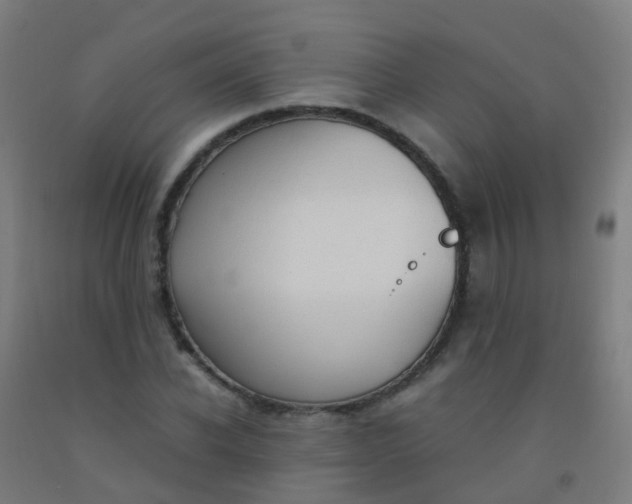 X0000092330926200709281423