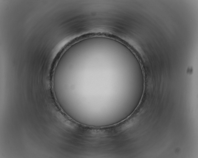 X0000092330927200709281423