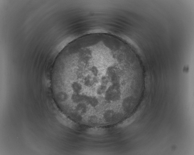 X0000092330929200709281423