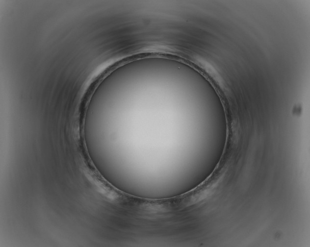 X0000092330931200709281423