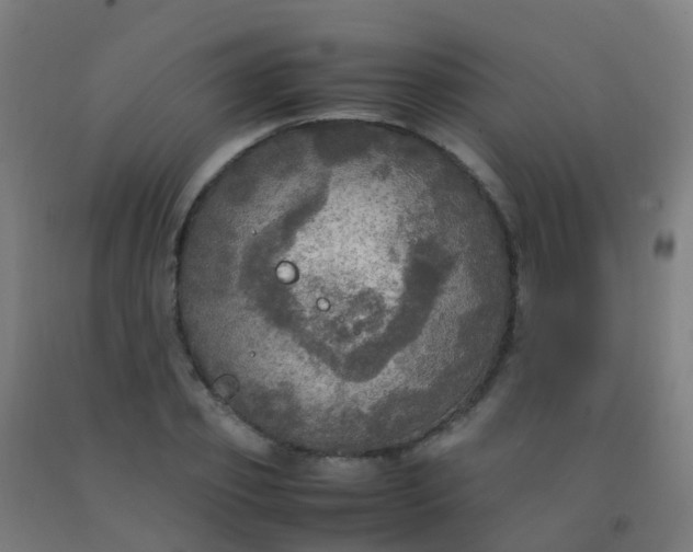 X0000092330933200709281423
