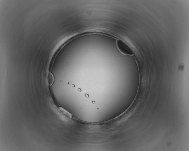 X0000092330940200709281423