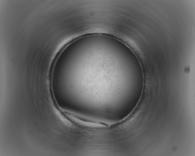 X0000092330942200709281423
