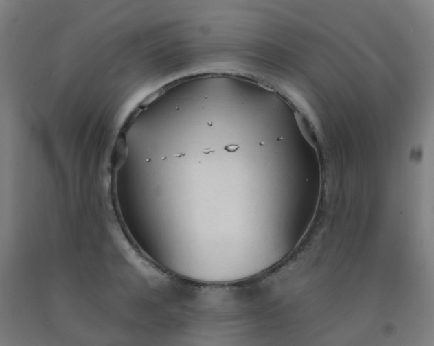 X0000092330944200709281423