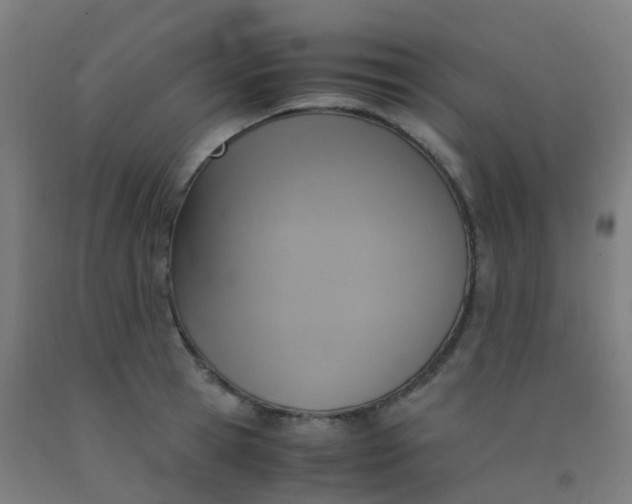 X0000092330945200709281423