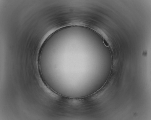 X0000092330947200709281423