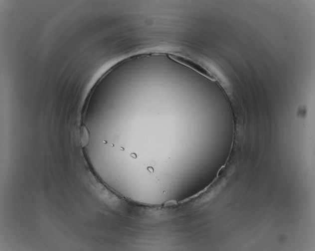 X0000092330948200709281423