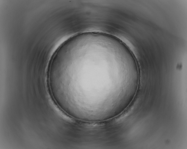 X0000092330949200709281424