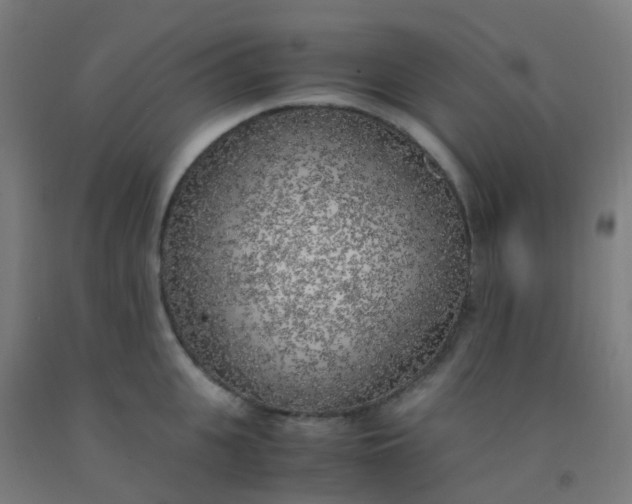X0000092330951200709281424