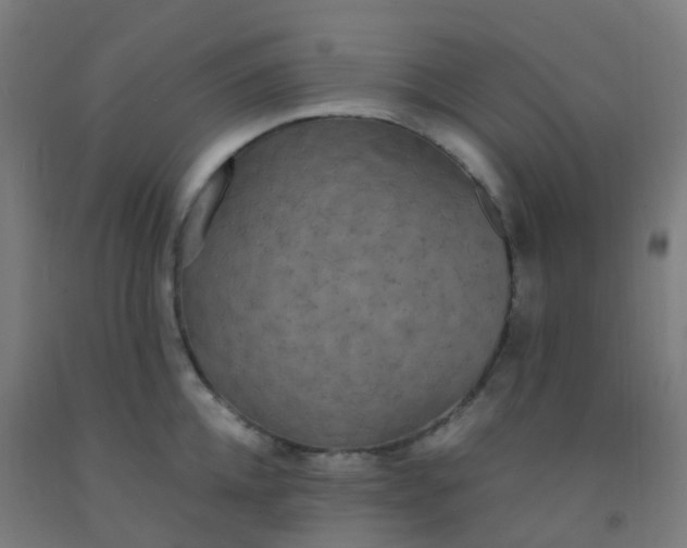 X0000092330952200709281424