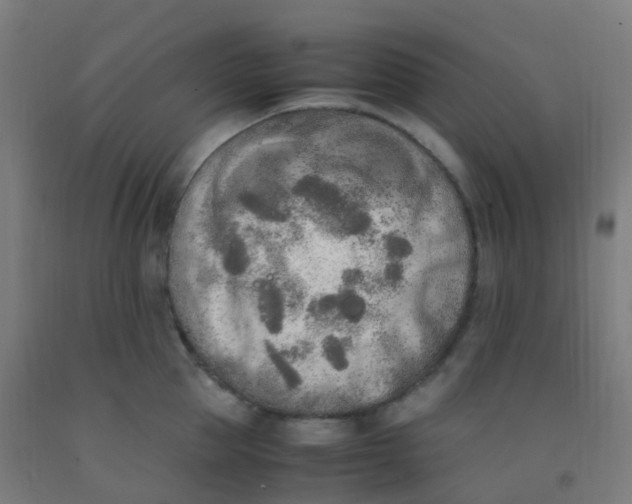 X0000092330953200709281424