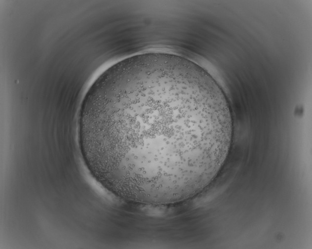 X0000092330955200709281424