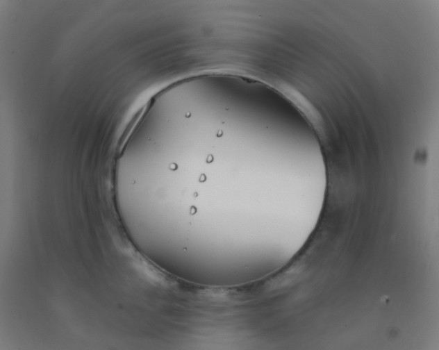 X0000092330956200709281424