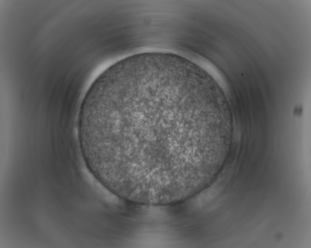 X0000092330958200709281424