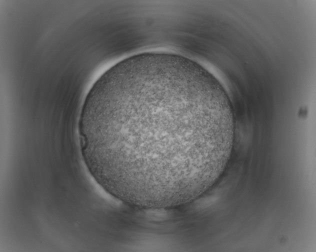 X0000092330959200709281424
