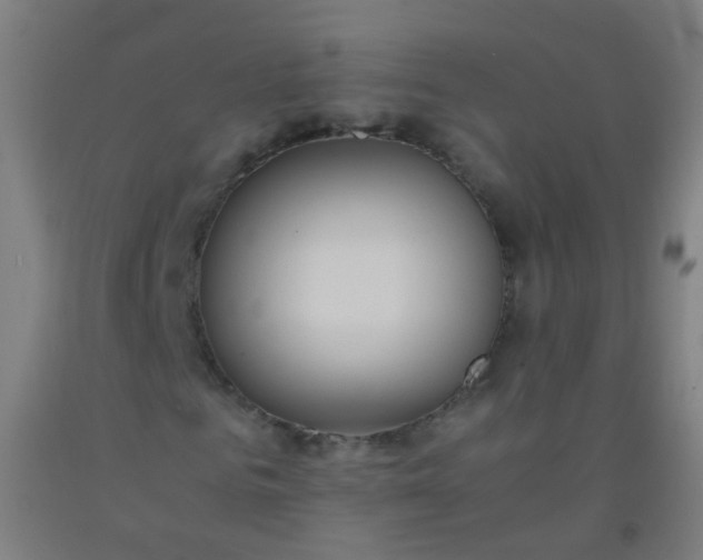 X0000092330961200709281423
