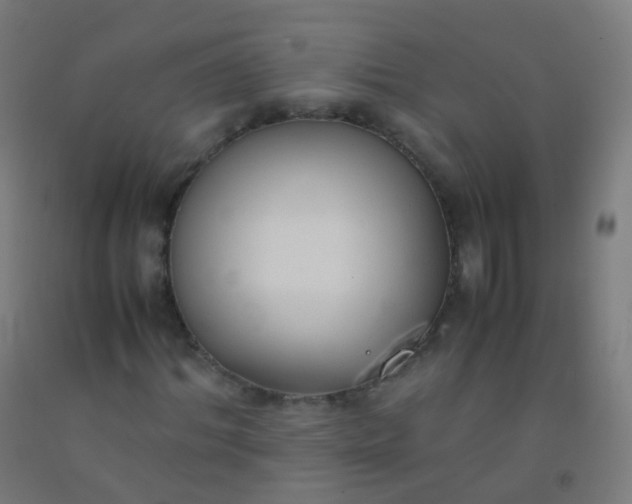 X0000092330964200709281423