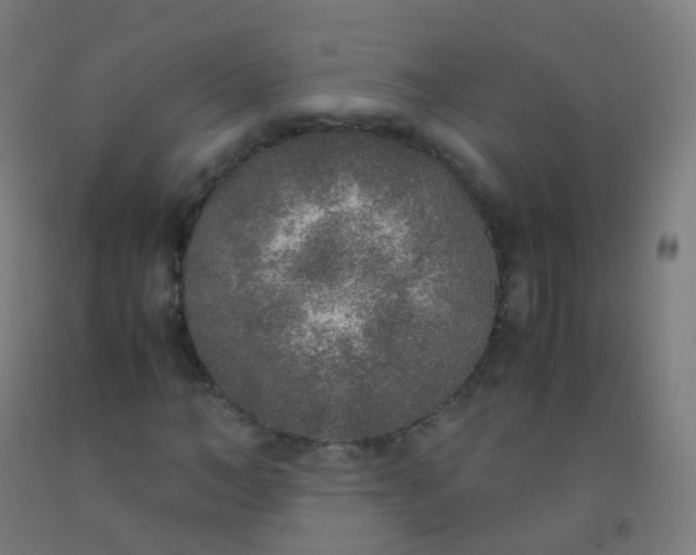X0000092330966200709281423