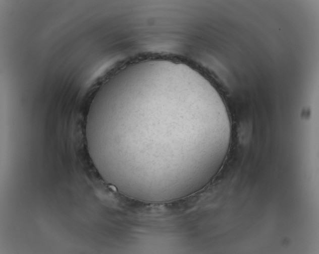 X0000092330968200709281423