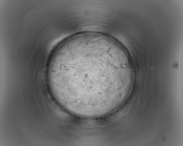 X0000092330971200709281423