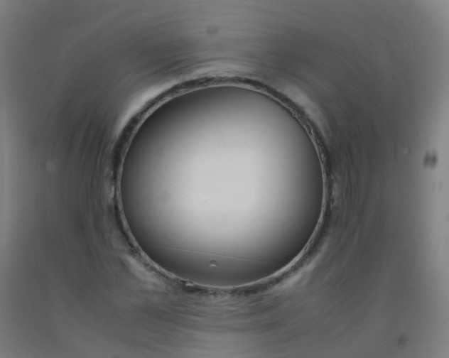 X0000092330973200709281423