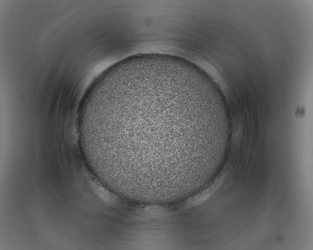 X0000092330974200709281423
