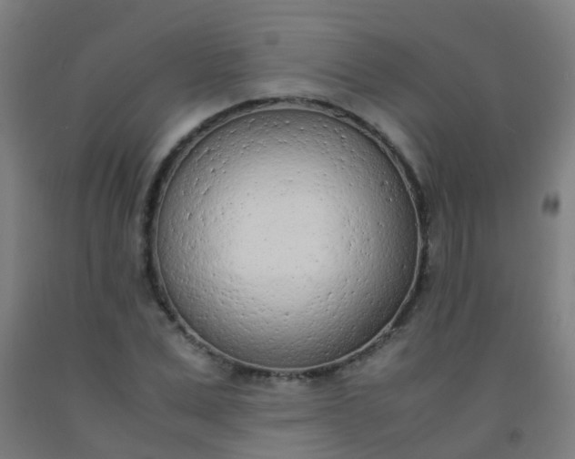 X0000092330975200709281423