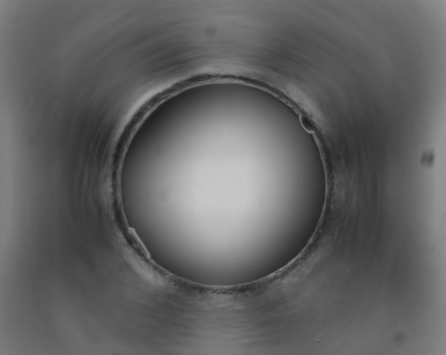 X0000092330976200709281423