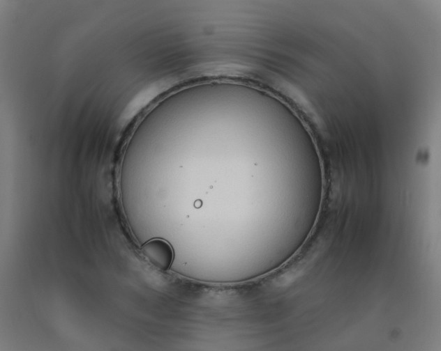 X0000092330978200709281423