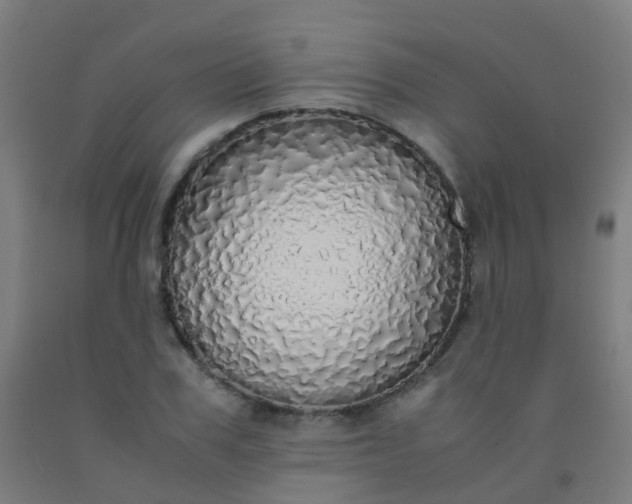X0000092330979200709281423