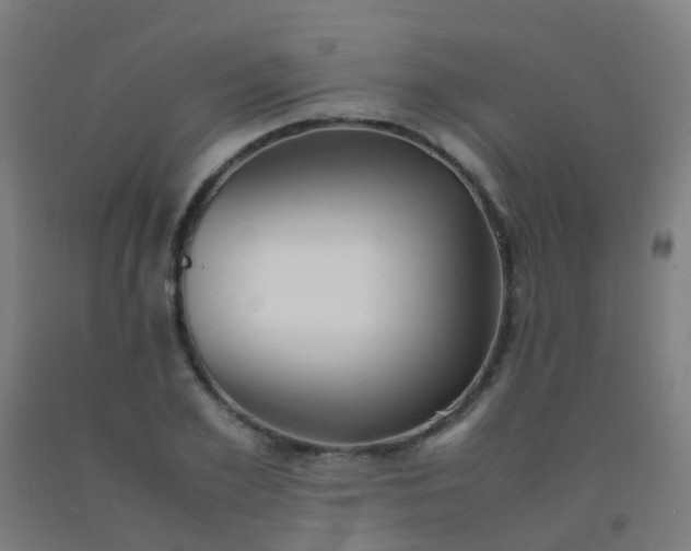 X0000092330981200709281423