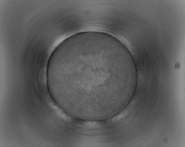 X0000092330982200709281423