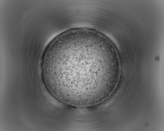 X0000092330983200709281423