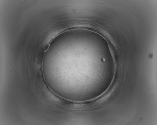 X0000092330985200709281423