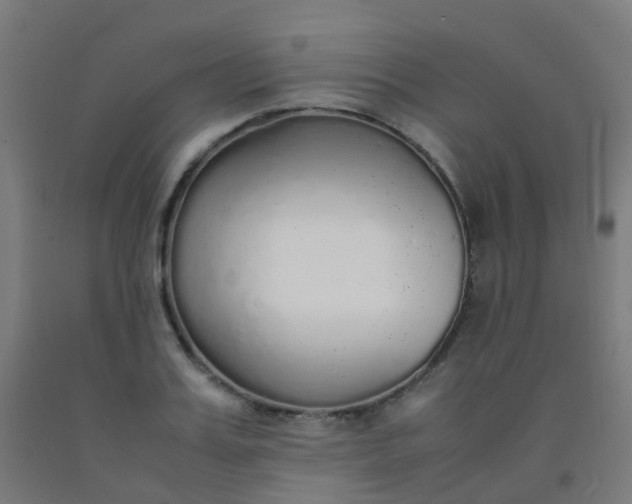 X0000092330987200709281423
