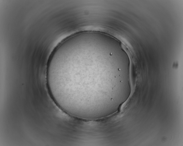 X0000092330992200709281423