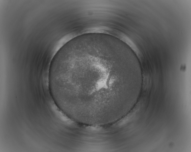 X0000092330994200709281423
