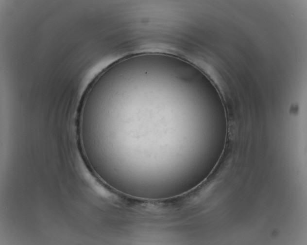 X0000092330995200709281423
