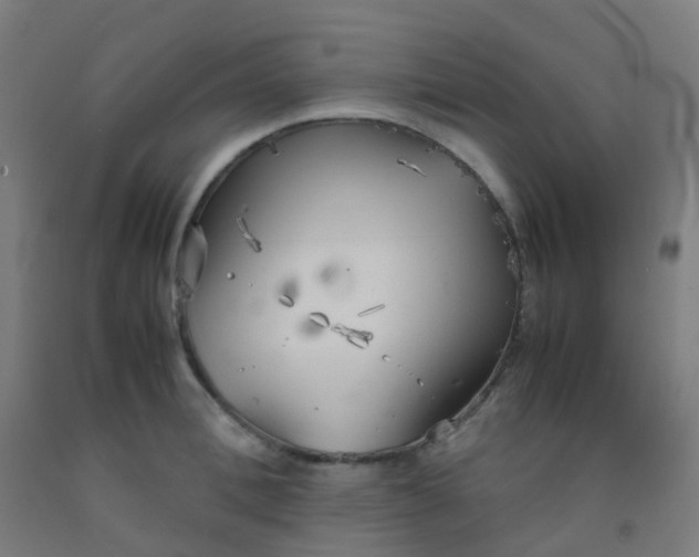 X0000092330996200709281423