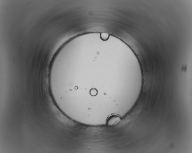 X0000092331000200709281423
