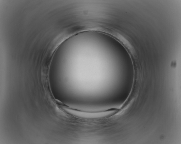 X0000092331001200709281423